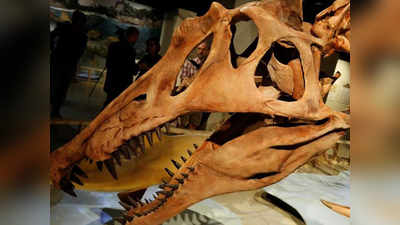 सबसे विशाल डायनोसॉर Spinosaurus असल में था विचित्र जीव, पानी में रहता लेकिन कर नहीं पाता था शिकार