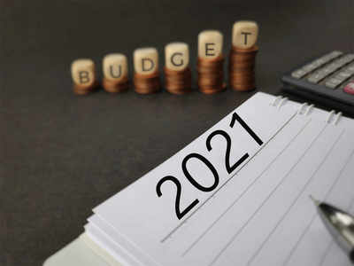 Budget 2021: दिडपट हमी भाव गाजरच; या शेतकऱ्यांनी व्यक्त केल्या प्रतिक्रिया
