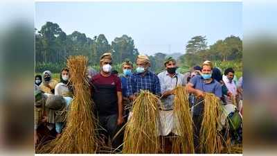 കുട്ടികള്‍ വിത്തിറക്കി; കൊയ്യാന്‍ കളക്ടറും കൂടി, ആഘോഷമാക്കി നാട്ടുകാര്‍, വീഡിയോ