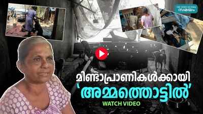 മിണ്ടാപ്രാണികള്‍ക്കായി അമ്മത്തൊട്ടില്‍... ദാരിദ്ര്യങ്ങള്‍ക്കിടയിലും പടപൊരുതുന്ന സാറാമ്മയുടെ കഥ, വീഡിയോ കാണാം