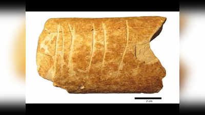 विलुप्त जानवर की हड्डी पर मिला सबसे प्राचीन इमोजी, 1.2 लाख साल पहले कुछ ऐसी थी लोगों की भाषा