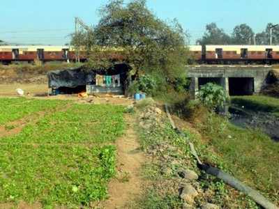 आता रेल्वे रुळांशेजारी भाजी पिकवता येणार नाही, कारण...