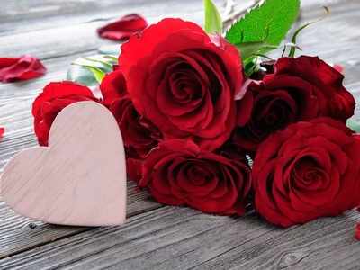 Happy Rose Day 2021 Wishes प्रेयसी, प्रियकर, मित्रमैत्रिणींना मराठीतून द्या रोझ डेच्या शुभेच्छा