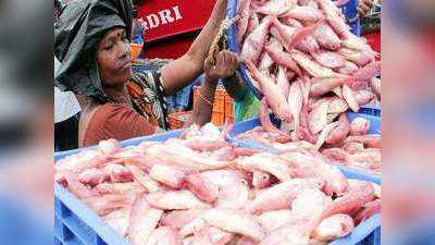 China new rule impact on Fish Export: पहले कोरोना, फिर डीजल और अब पड़ोसी मुल्क चीन, इन वजहों ने तोड़ दी मछली कारोबारियों की कमर!
