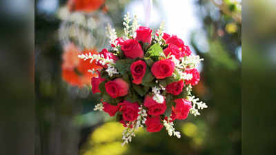 Happy Rose Day: सिर्फ 20 रुपये में तैयार हो जाएगा गुलाबों को गुलदस्ता, जानें इसे घर पर बनाने का DIY तरीका
