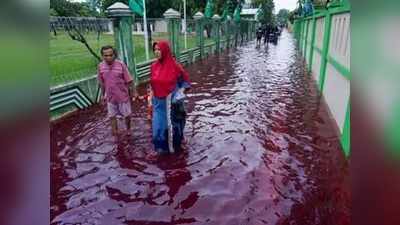 ஊருக்குள் புகுந்த செந்நிற வெள்ளம்; காரணம் கேட்டால் அதிர்ச்சி ஆகிடுவீங்க!