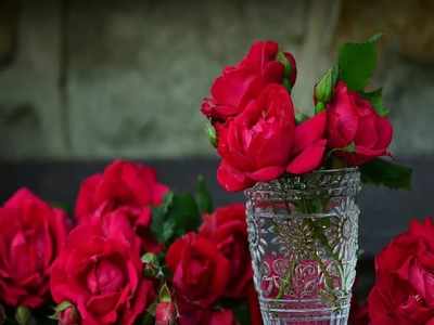 Happy Rose Day 2021: ভালোবাসার সপ্তাহে গোলাপী শুভেচ্ছা জানান প্রিয়জনকে