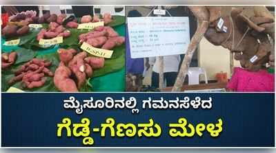 ಗೆಡ್ಡೆ-ಗೆಣಸು ಮೇಳ: ಫಾಸ್ಟ್‌ಫುಡ್‌ ತಿಂದು ಬೋರಾದ ಮೈಸೂರು ಜನರಿಗೆ ಸಿಕ್ತು ಡಿಫ್ರೆಂಟ್ ಟೇಸ್ಟ್..!