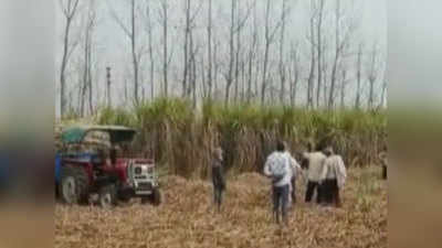 Meerut News: बीजेपी कार्यकर्ता ने दिखाई दबंगई, खेत में किसान पर तान दी राइफल