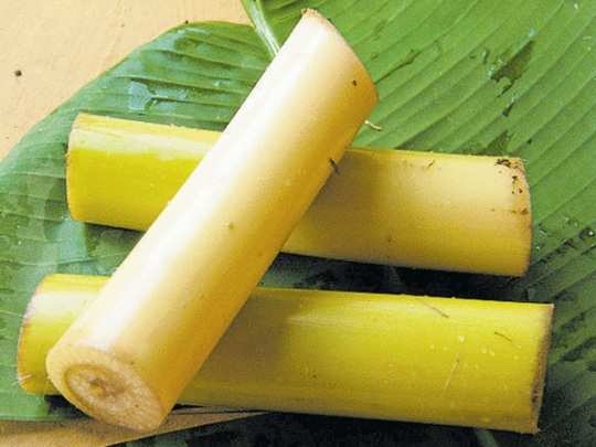 Valaithandu Nanmaigal,வாழைத்தண்டு: சிறுநீரக கல் முதல் நீரிழிவு வரை!  தம்மாத்தூண்டு தண்டுல இவ்வளவு விஷயம் இருக்காமே! - 7 health benefits of  banana stem in tamil - Samayam Tamil