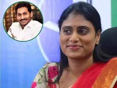 వైఎస్ జగన్‌పై షర్మిల ఆసక్తికర వ్యాఖ్యలు.. TRS టార్గెట్‌గా సంచలన విమర్శలు!