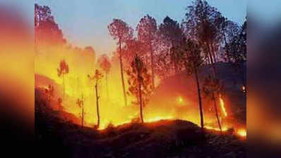 Uttarakhand Disaster: उत्तराखंड के जंगलों की आग पिघला रही है ग्लेशियर्स