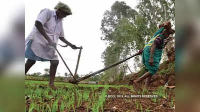 big Relief to farmers: शेतकऱ्यांना मोठा दिलासा; तीन लाखांचे बिनव्याजी पीककर्ज मिळणार
