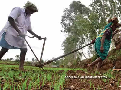 big Relief to farmers: शेतकऱ्यांना मोठा दिलासा; तीन लाखांचे बिनव्याजी पीककर्ज मिळणार