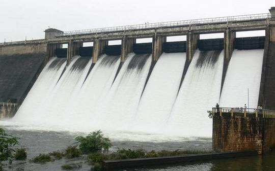 Tirunelveli Dams Water Level,நெல்லை மாவட்ட அணைகளின் நீர்மட்டம் என்ன? -  current water level of tirunelveli district dams - Samayam Tamil