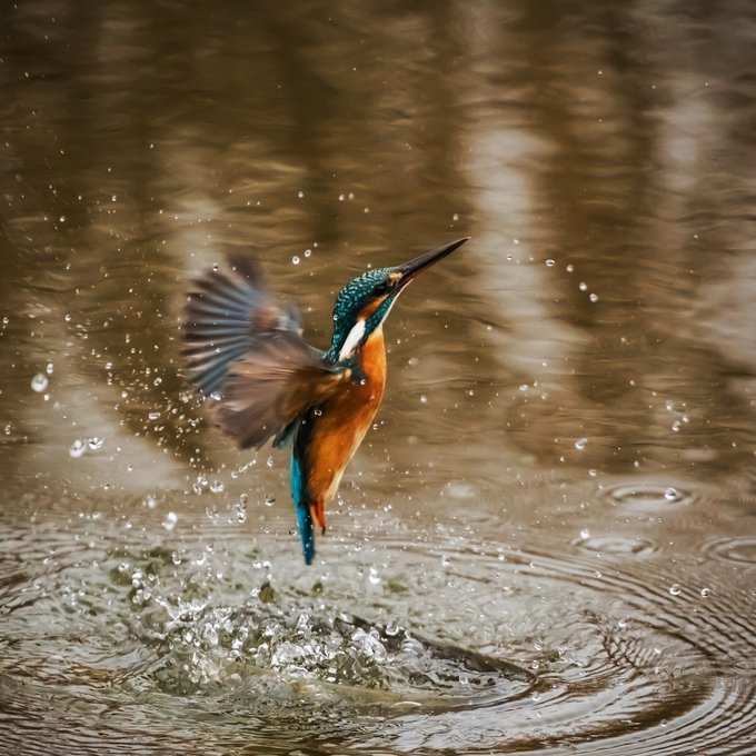 ಈ ಕನಸು ವೈವಾಹಿಕ ಜೀವನದ ಬಗ್ಗೆ ಹೇಳುತ್ತದೆ