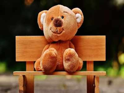 Teddy Day 2021: টেডি ডে তো পালন করেন, কারণ জানতেন?