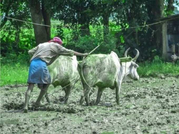 பணம் இவர்களுக்கு மட்டுமே!