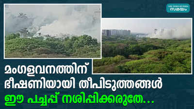 മംഗളവനത്തിൽ കത്തി നശിച്ചത് പത്ത് ഏക്കറോളം പുല്ല്; തീപിടിത്തം പതിവെന്ന് നാട്ടുകാർ