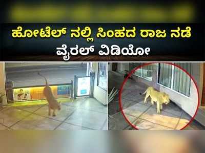 ಗುಜರಾತ್ ಹೋಟೆಲ್‌ನಲ್ಲಿ ಕಾಣಿಸಿಕೊಂಡ ಸಿಂಹ..! ವೈರಲ್ ಆಯ್ತು ಸಿಸಿಟಿವಿ ದೃಶ್ಯ