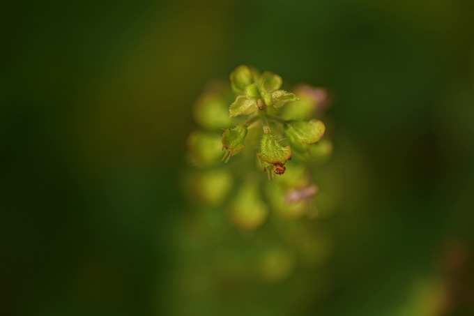 ​3. ಇದು ನಿಮ್ಮೆಲ್ಲಾ ಸಮಸ್ಯೆಗಳನ್ನು ದೂರಾಗಿಸುತ್ತದೆ