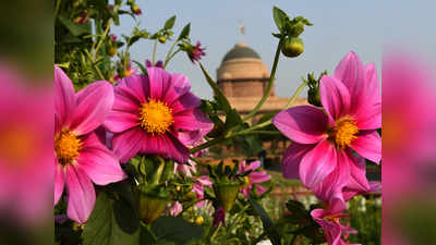 Mughal Garden Open: मुगल गार्डन 13 फरवरी से आम लोगों के लिए खुलेगा, पहले करानी होगी ऑनलाइन बुकिंग