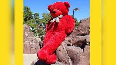 Teddy Bear : यह क्यूट सा Teddy Bear देकर पार्टनर को विश करें वैलेंटाइन डे, बर्थडे के लिए भी है बेहतरीन तोहफा