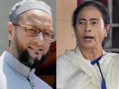 Mamata Banerjee on Asaduddin Owaisi: ओवैसी के सवाल पर भड़कीं ममता, ऐसे लोगों का नाम लेकर पॉप्युलर क्यों करते हैं