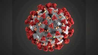 कोरोना संक्रमितों में खुद पैदा हो सकती है वायरस से लड़ने वाली एंटीबॉडी, वैज्ञानिकों का दावा