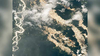 अंतरिक्ष से दिखी ऐमजॉन वर्षावनों के बीच बहती सोने की नदी, पीछे छिपा है काला सच