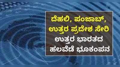 ದೆಹಲಿ, ಪಂಜಾಬ್‌, ಉತ್ತರ ಪ್ರದೇಶ ಸೇರಿ ಉತ್ತರ ಭಾರತದ ಹಲವೆಡೆ ಭೂಕಂಪನ