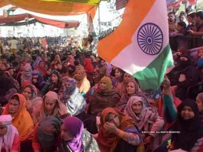 যত্রতত্র আন্দোলন নয়, শাহিনবাগ রায় পুনর্বিবেচনার আর্জি খারিজ করল শীর্ষ আদালত