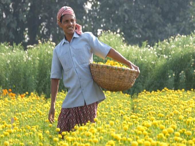 পুজোর আগে ফুলের বাহার