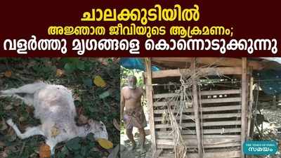 ചാലക്കുടിയില്‍ അജ്ഞാത ജീവിയുടെ ആക്രമണം; വളര്‍ത്തു മൃഗങ്ങളെ കൊന്നൊടുക്കുന്നു