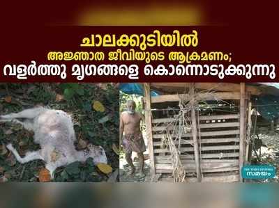 ചാലക്കുടിയില്‍ അജ്ഞാത ജീവിയുടെ ആക്രമണം; വളര്‍ത്തു മൃഗങ്ങളെ കൊന്നൊടുക്കുന്നു