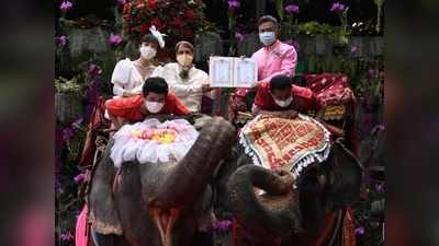 थाईलैंड में हाथी पर बैठकर 59 जोड़ों ने रचाई शादी, वेलेंटाइन डे पर हुई अनोखी रस्म