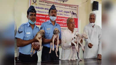 ಸೇನೆ ಬಳಿಕ ಭಾರತೀಯ ವಾಯುಸೇನೆಗೂ ಕಾಲಿಟ್ಟ ಮುಧೋಳ ನಾಯಿಗಳು..!