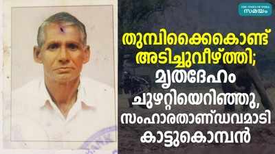 തുമ്പിക്കൈകൊണ്ട് അടിച്ചുവീഴ്ത്തി; മൃതദേഹം ചുഴറ്റിയെറിഞ്ഞു, സംഹാരതാണ്ഡവമാടി കാട്ടുകൊമ്പന്‍