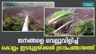 കൊല്ലം ഇടമുളയ്ക്കൽ ഗ്രാമപഞ്ചായത്തിൻ്റെ വെല്ലുവിളി