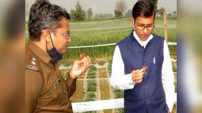 Badaun News: स्ट्रॉबेरी खेती से बदली दयाराम की तकदीर, दिल्ली से लेकर मुंबई तक होती है सप्लाई