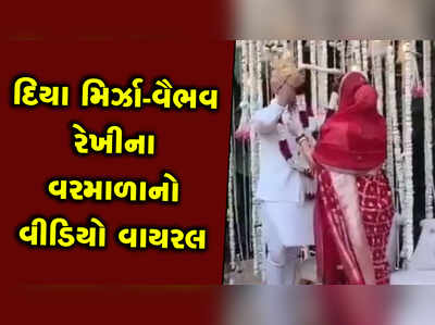 પતિએ વરમાળા પહેરાવતાં ખીલી ઉઠી દિયા મિર્ઝા, અદિતિએ ચોર્યા જીજુના જૂતા 