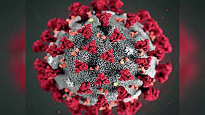 Coronavirus   ११ देशांमध्ये करोनाचा आणखी एक नवा वेरिएंट; डेन्मार्कमध्ये सर्वाधिक बाधित