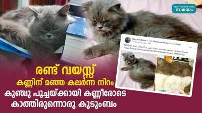 കുഞ്ചുപ്പൂച്ചയെ കാണാനില്ല; കാത്തിരിപ്പാണ് വീട്ടുകാര്‍...