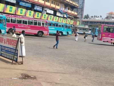 8 മാസത്തിനിടെ ഡീസലിന് കൂടിയത് 18 രൂപ, 23ന് പ്രതിഷേധം; സ്വകാര്യ ബസ് സർവീസ് പ്രതിസന്ധിയുടെ റൂട്ടിൽ, വീഡിയോ കാണാം