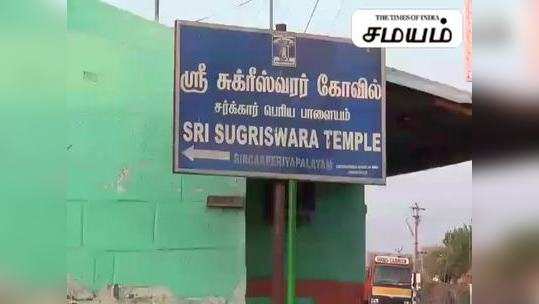 வாடிக்கையாக கோயிலுக்கு வந்து பக்திப்பாடல் கேட்கும் கிளி... வைரல் வீடியோ