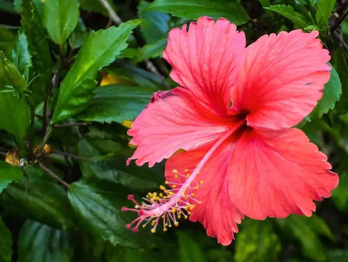 ​ನೀರಿನ ಅಗತ್ಯಗಳು