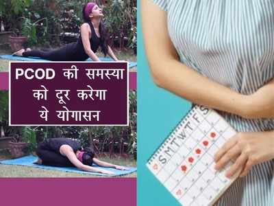 Yoga for PCOD: पीसीओडी से परेशान महिलाएं जरूर करें ये आसन, जल्‍द पड़ेगा फर्क