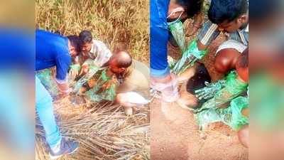 മരണത്തോട് മല്ലടിച്ച് അവശനിലയിൽ തെരുവ് നായ, ജീവൻ രക്ഷിച്ച് യുവാക്കൾ; വീഡിയോ കാണാം