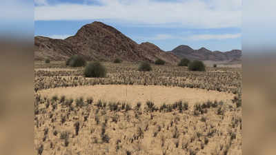 Mystery of Fairy Circles: अफ्रीकी रेगिस्तान में कैसे बन जाता है यह रहस्यमय गोल आकार? आखिरकार मिला जवाब