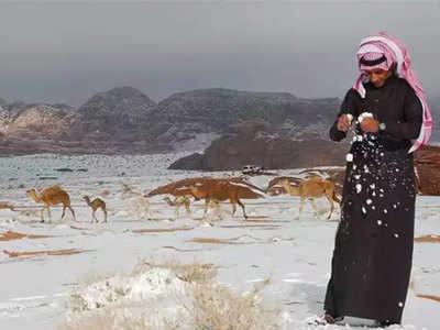 Saudi Arabia Snowfall सौदी अरेबियात हिमवृष्टी; ५० वर्षातला विक्रम तुटला, हवामान बदलाचा परिणाम?